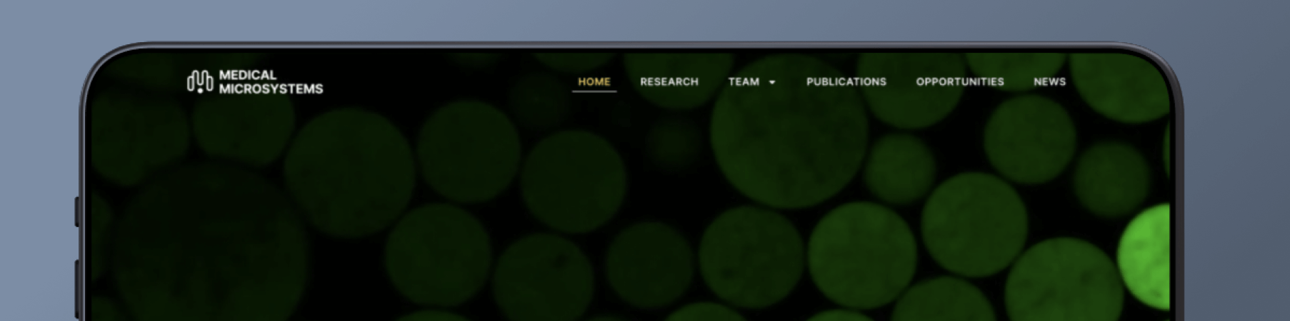 MML Website